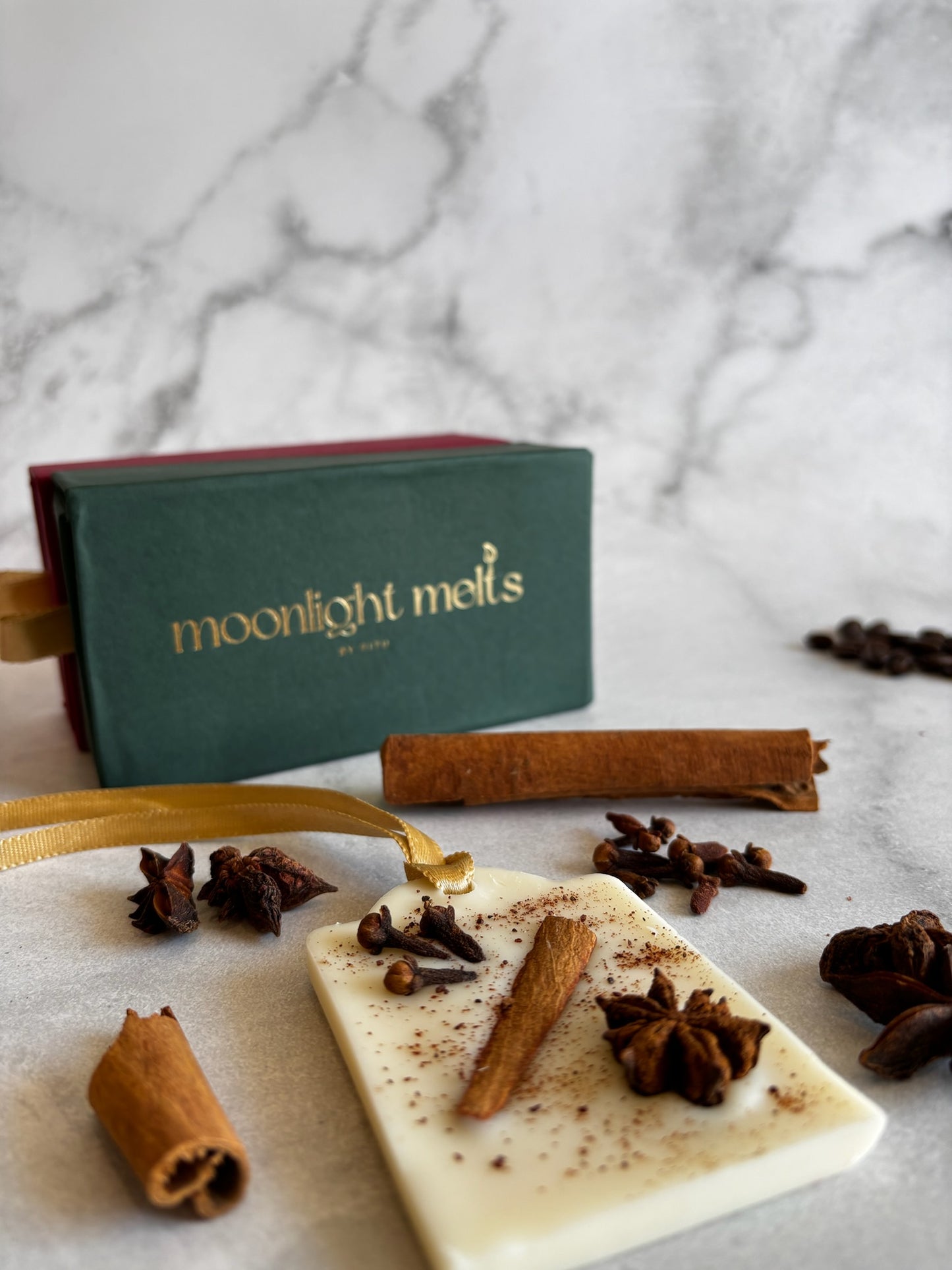 Star Anise & Cinnamon | Wax Tablet